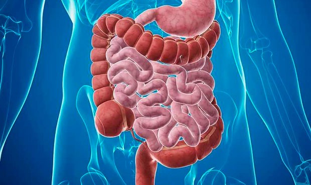 transplante_fecal