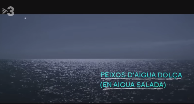 peces