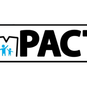 Formación en modelo de intervención temprana IMPACT