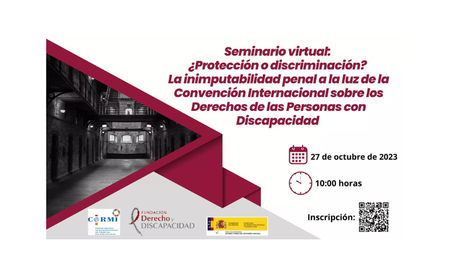 Imagen seminario virtual protección o discriminacion.