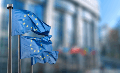 El Parlamento Europeo avanza en nuestra petición sobre la armonización de los derechos de las personas con autismo
