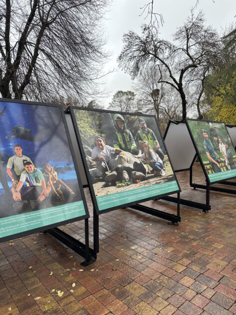 Imagen de la exposición de fotos que conforman el Calendario solidario de la Guardia Civil
