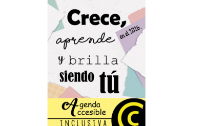 “Si conseguimos una plena accesibilidad, construiremos una sociedad más inclusiva”